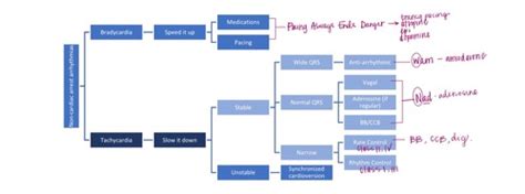 ACLS MegaCode Practice Flashcards .